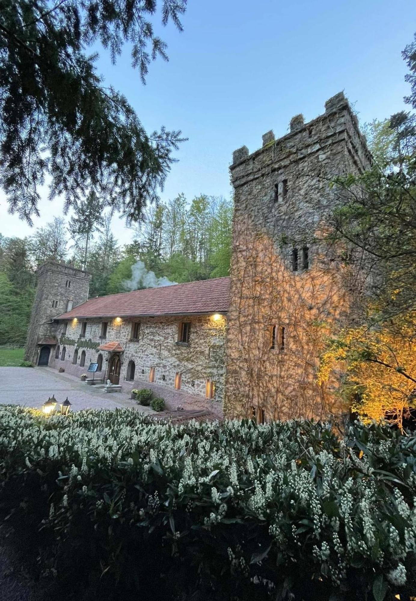 Le Chateau Du Landsberg Barr Luaran gambar